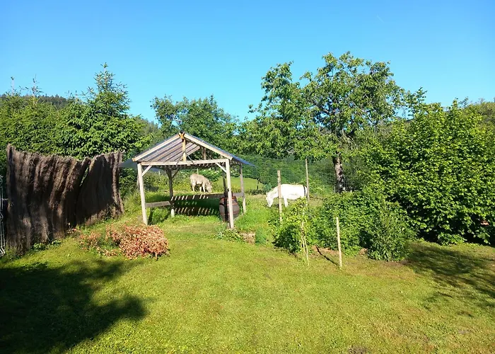 Le Rucher De St Pierre *